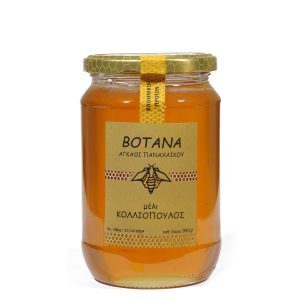 Μέλι βότανα & θυμάρι Παναχαϊκού 980γρ.